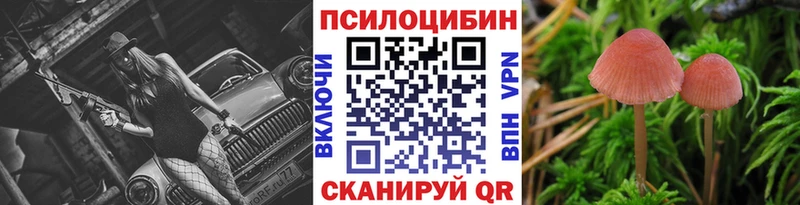 купить наркотик  Бутурлиновка  маркетплейс какой сайт  Галлюциногенные грибы Cubensis  МЕГА как войти 